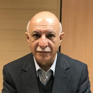 محمود حقیقت