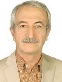محمود صفوی