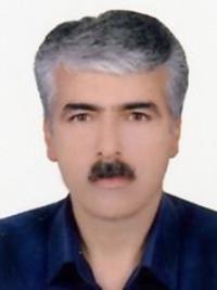 محسن مجیدی