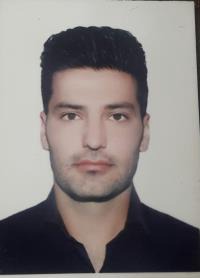 میثم زارعی