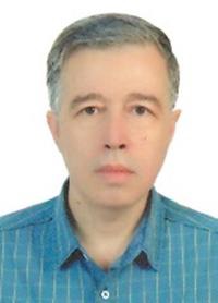 مجتبی کریمی