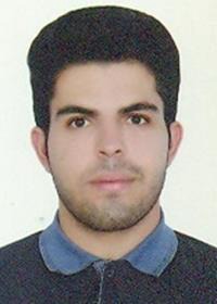 مجتبی زارع