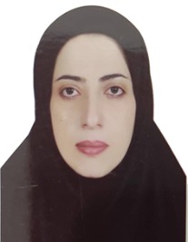 ملک تاج غلامی