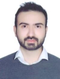 محمد دیلی