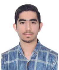 محمد حسن پور