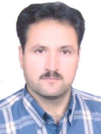 محمد رفیعی