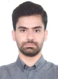 مرتضی حسین پور