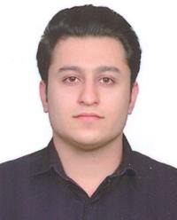نوید زوبین