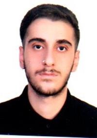 پارسا رفیعی