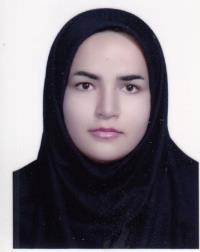 پریسا افشار