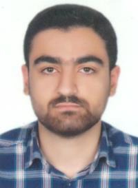 پویا امیران