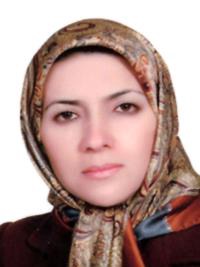 رامک جهادی سروستانی