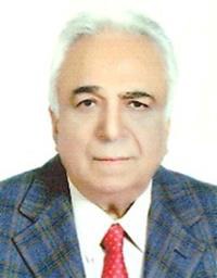 رضا امین