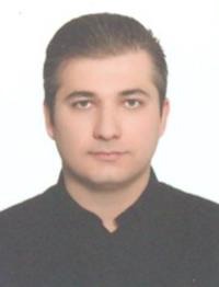 رضا امیرشاهی