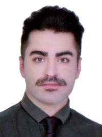 رضا دارنگ