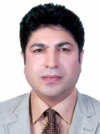رضا داودی