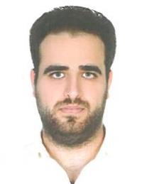 رضا حسن پور