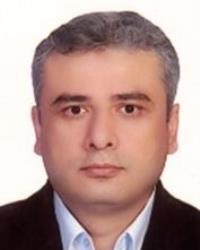 رضا مهرانی