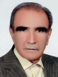 رضا سالک