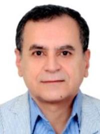 سعید البرزی