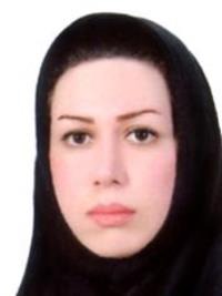 ساناز فرضی