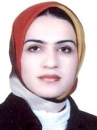 سیده نجمه حسینی