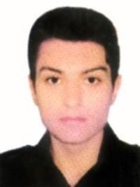شاهین دانشی بحرینی