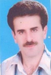 شریف رفیعی