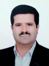 سیدامین افضلی