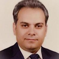 سیدحسام الدین مهدی تابعی