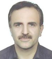 سیدحسام الدین نبوی زاده