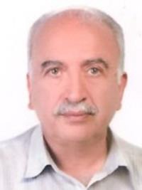 سیدمهدی ذوالعلمین