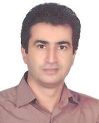 سیدمحمد سلیمانی