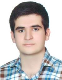 سیدشاهین حسینی