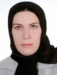 صولت انصاری