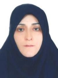 وئام دهدشتی