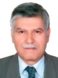 احمدرضا رفیعی