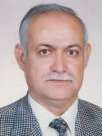 علی محمد نامیان