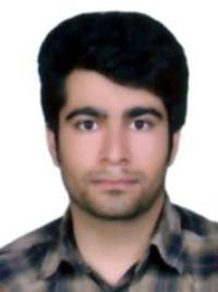 حمید گودرزی