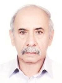 محمدحسن حقی