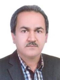 حیدر غلام پور