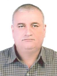شایان غلامی علی کردی