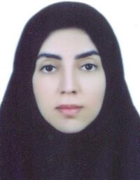هستی فولادی