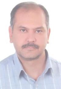 سیاوش فیروزی نژاد
