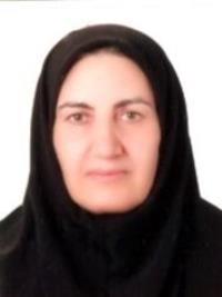 زهره محسنی رونیزی