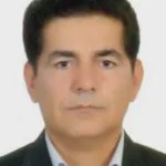 حسین ناصری مجرد