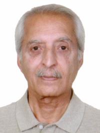 محمدهادی صادق الوعد