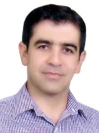 محمدمهدی مرزوقی