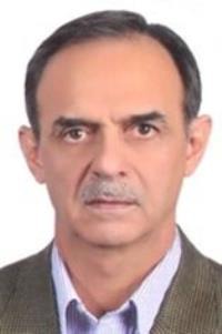 محمدتقی معین وزیری