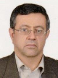 سیدعبدالهادی شیخ الاسلامی